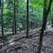 The Niagara Escarpment