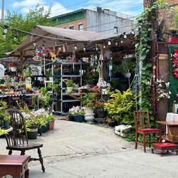 Bushwick Market