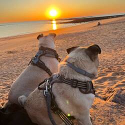 Enjoying the view (or maybe the picnic food!)