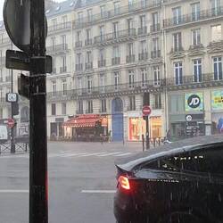 Another Tropical Downpour