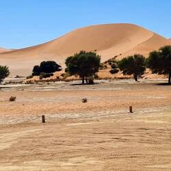 Big Mama Dune-Sossusvlei