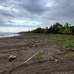 Ein Blick auf den Strand