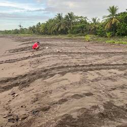 Spuren vom Rückweg ins Meer