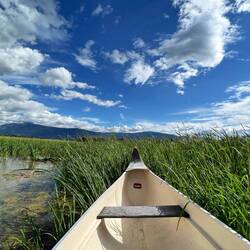 Canoe tour in the Creston wetlands