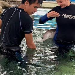 Der einte Rochen konnte einfach nicht genug bekommen 😂