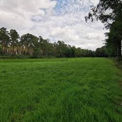 Hier endet der Weg an einer Wiese