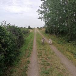 einfach kilometerlang geradeaus