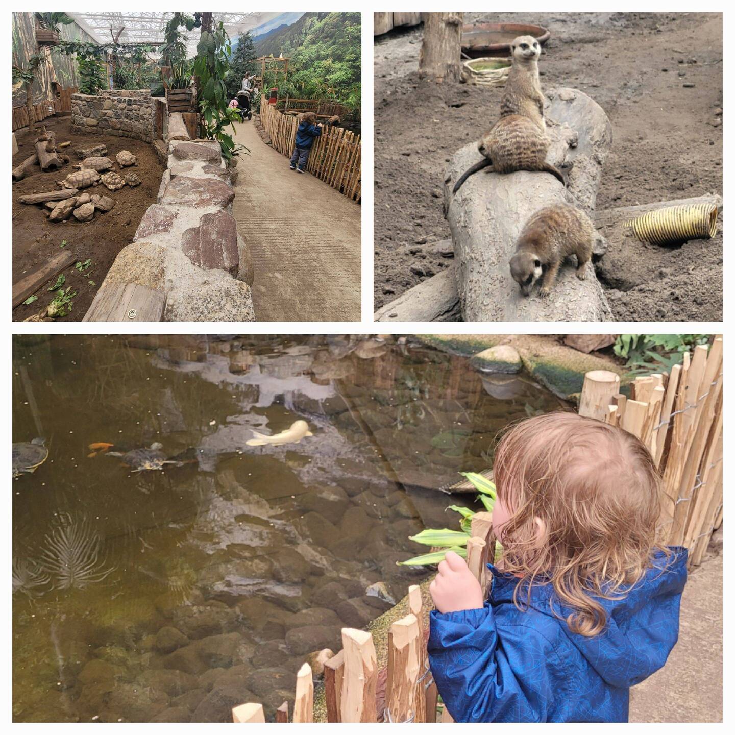 Ein kleiner Zoo