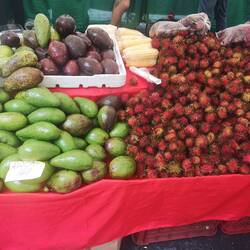 Marion peut enfin remanger des ramboutans