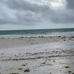 Bei Ebbe im nassen Sand laufen :)