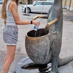 Brunnen mit Trinkwasser gibt es genügend