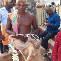 Auch Haaropfer werden erbracht.