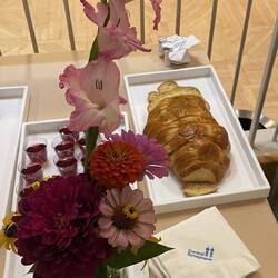 From the Rabbis NY garden