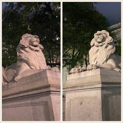 Patience (right) and Fortitude (left)