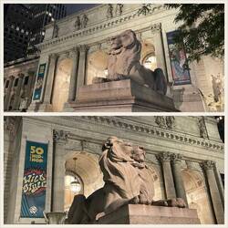 Patience (bottom) and Fortitude (top)