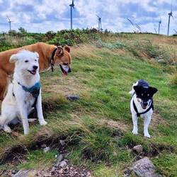 Schöner Morgenspaziergang im Hafen von Falkenberg