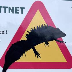 Laut Schwedin ein Krokodil. Ich traf sie auf dem Weg und sie macht sich sorgen, dass ihr auch Krokod