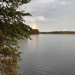 Kurzer Regen... mit Sonne = 🌈☀️🌧️