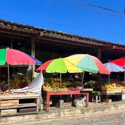 Vorbei am Markt 🍍🥭🥬