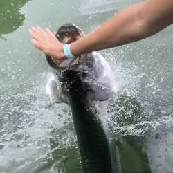 Sam isch no bissä worde 😂