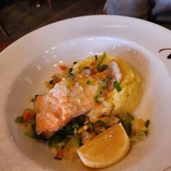 Salmon
