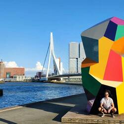Rotterdam - Erasmus Bridge in background