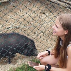 Mit hauseigenen Tieren