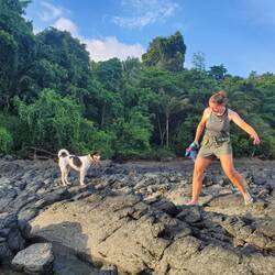 Strandspaziergang mit Bello