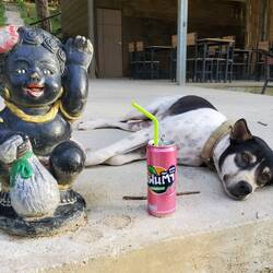 Der Hausgeist, seine Fanta und Bello