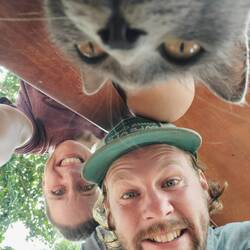 Überall neugierige Kuschelkatzen