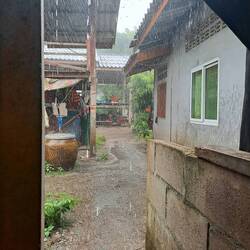 Zwischendurch Platzregen