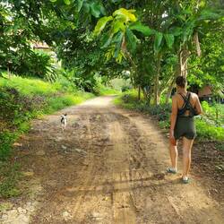 Mit Bello auf dem Weg zum Strand
