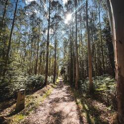 Die Wege auf dem Jakobsweg einmalig 🫶