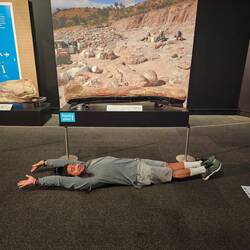 The femur of a Patagotitan