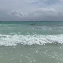 Spektakulärer Sturz