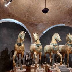 The horses in question