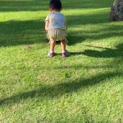 Every day feeding the turtles....