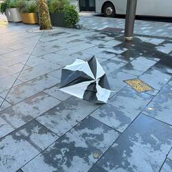 Lynns hypothetischer Regenschirm 😂