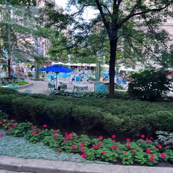 Revitalized Downtown Park