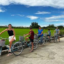 Cycling amidst the paddy fields