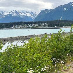 Ausfahrt aus dem Hafen von Haines
