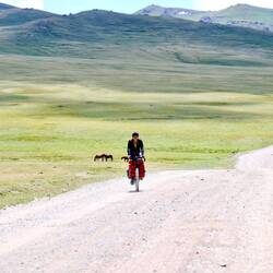 Ein holländische Radfahrer kommt mir entgegen.