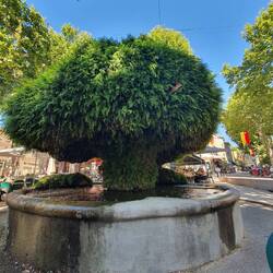 Le Fontaine Mousse