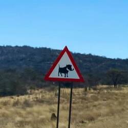Nur eins ganz kurz am Straßenrand gesehen