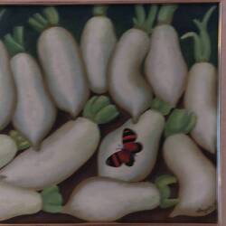 Schmetterling und Rettiche/Rettichs/Rettichens/Rettchen???