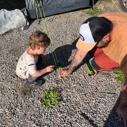 Tatkräftige Untersützung beim Zelt aufbauen