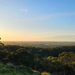 Mt Rouse Lookout