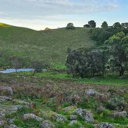 Mt Rouse Crater