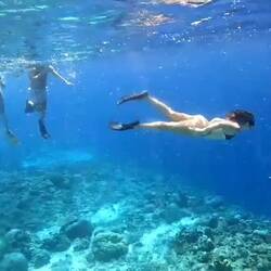 ich cha Schwümme, ha Seepfärdli Abzeiche gmacht