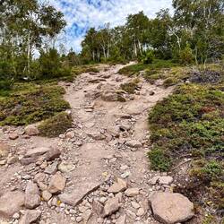 Schon So ein Weg ruft echte Glücksgefühle hervor!